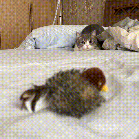 KlapperVogel, het interactieve kattenspeelgoed met vleugelslag