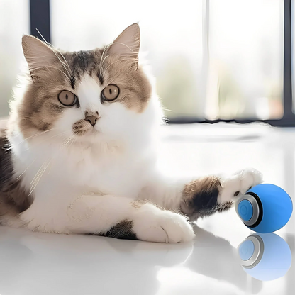 PurrfectMotion™ Interactieve Kattenbal | Vandaag 1+1 gratis • Beweegt vanzelf • USB-oplaadbaar