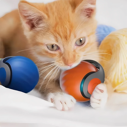 PurrfectMotion™ Interactieve Kattenbal | Vandaag 1+1 gratis • Beweegt vanzelf • USB-oplaadbaar