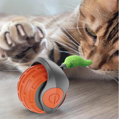 PurrfectMotion™ Interactieve Kattenbal | Vandaag 1+1 gratis • Beweegt vanzelf • USB-oplaadbaar