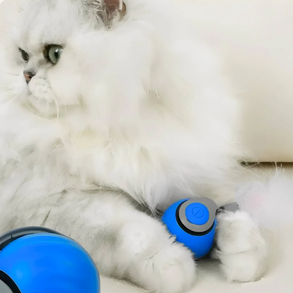 PurrfectMotion™ Interactieve Kattenbal | Vandaag 1+1 gratis • Beweegt vanzelf • USB-oplaadbaar
