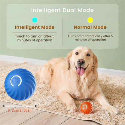 PawPlay BounceBall™ – De Interactieve Speelbal voor Gelukkige en Gezonde Honden