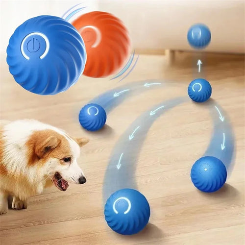 PawPlay BounceBall™ – De Interactieve Speelbal voor Gelukkige en Gezonde Honden