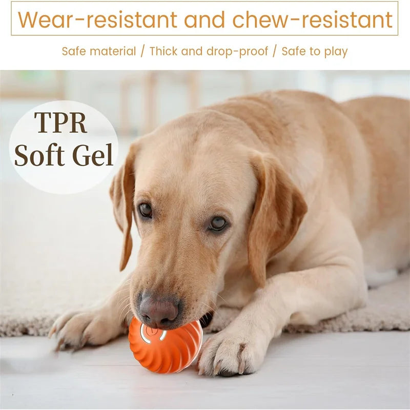 PawPlay BounceBall™ – De Interactieve Speelbal voor Gelukkige en Gezonde Honden