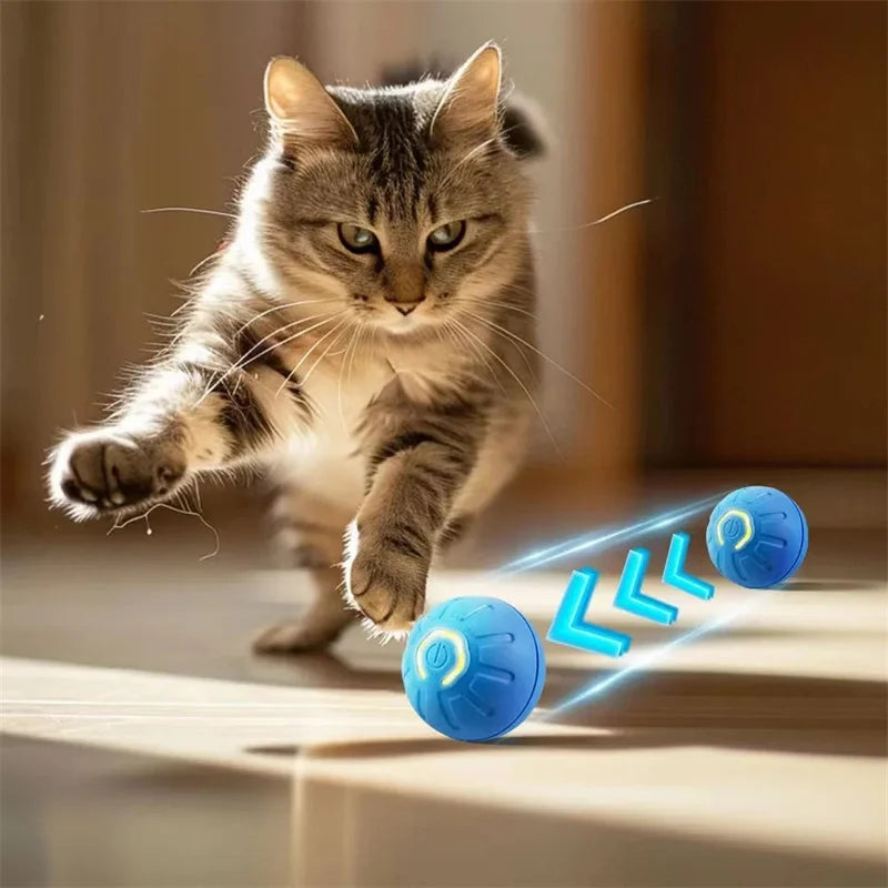 PawPlay BounceBall™ – De Interactieve Speelbal voor Gelukkige en Gezonde Honden
