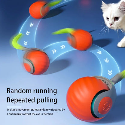 PurrfectMotion™ Interactieve Kattenbal | Vandaag 1+1 gratis • Beweegt vanzelf • USB-oplaadbaar