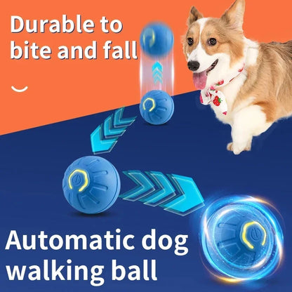 PawPlay BounceBall™ – De Interactieve Speelbal voor Gelukkige en Gezonde Honden