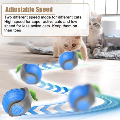 PurrfectMotion™ Interactieve Kattenbal | Vandaag 1+1 gratis • Beweegt vanzelf • USB-oplaadbaar