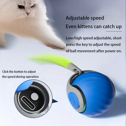 PurrfectMotion™ Interactieve Kattenbal | Vandaag 1+1 gratis • Beweegt vanzelf • USB-oplaadbaar